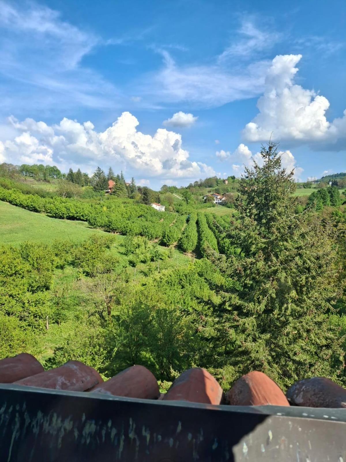 Cascina Bringin Apartamento Mondovì Exterior foto