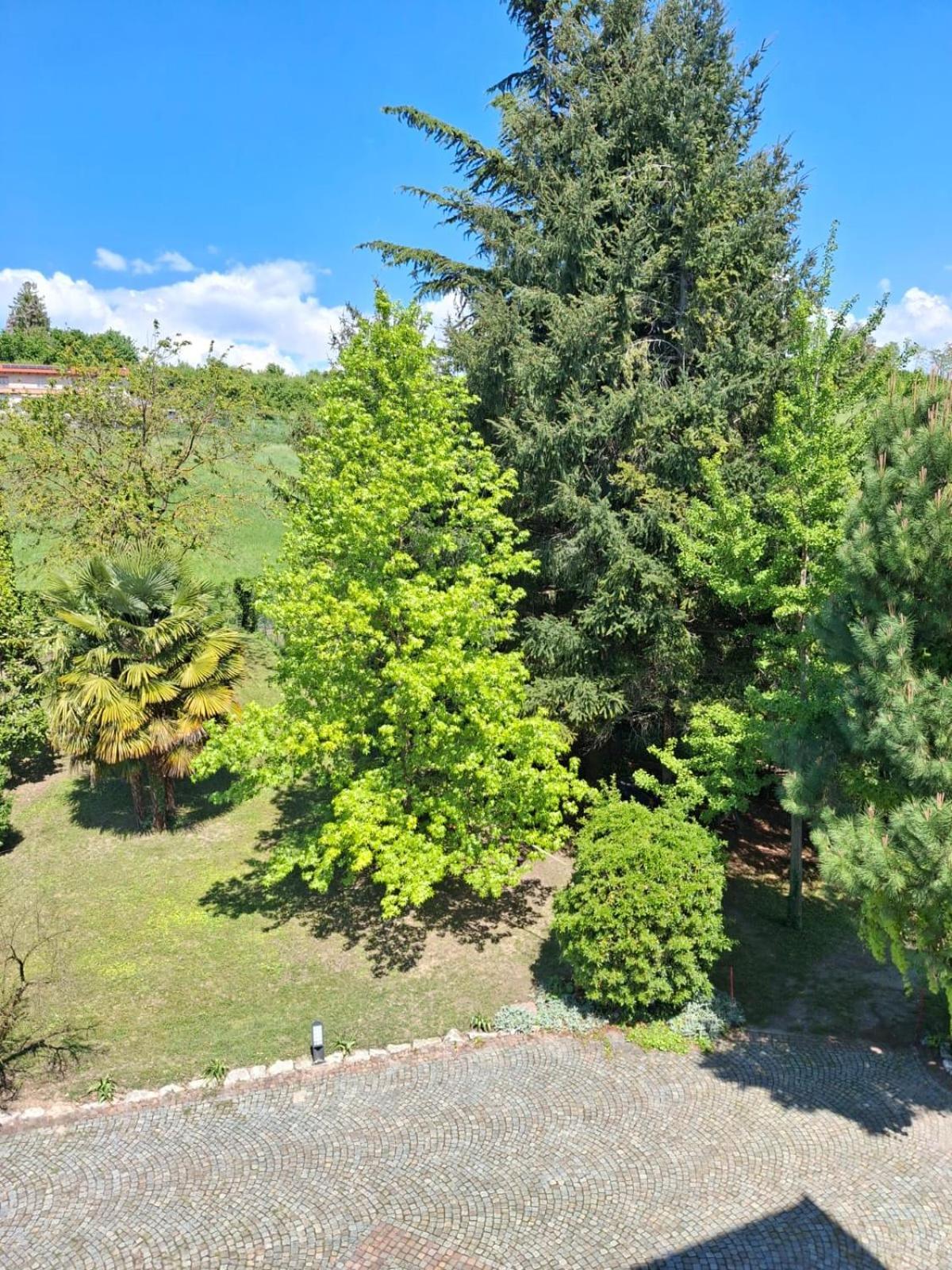 Cascina Bringin Apartamento Mondovì Exterior foto