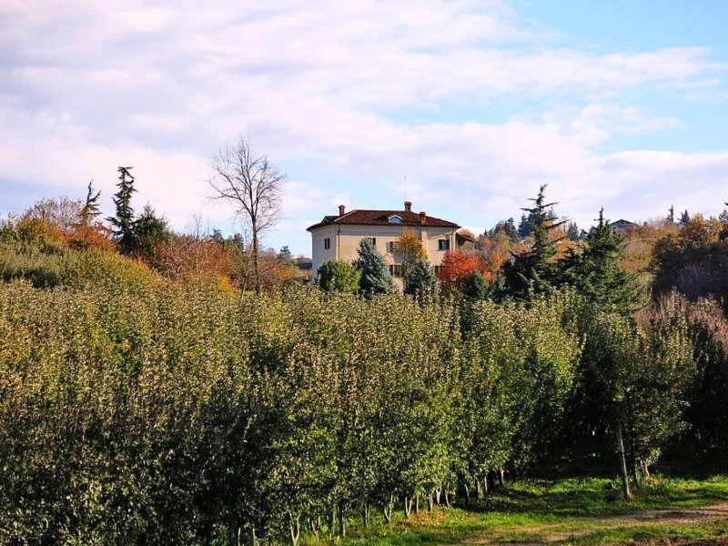 Cascina Bringin Apartamento Mondovì Exterior foto