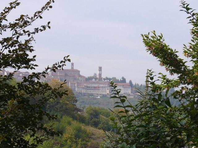 Cascina Bringin Apartamento Mondovì Exterior foto